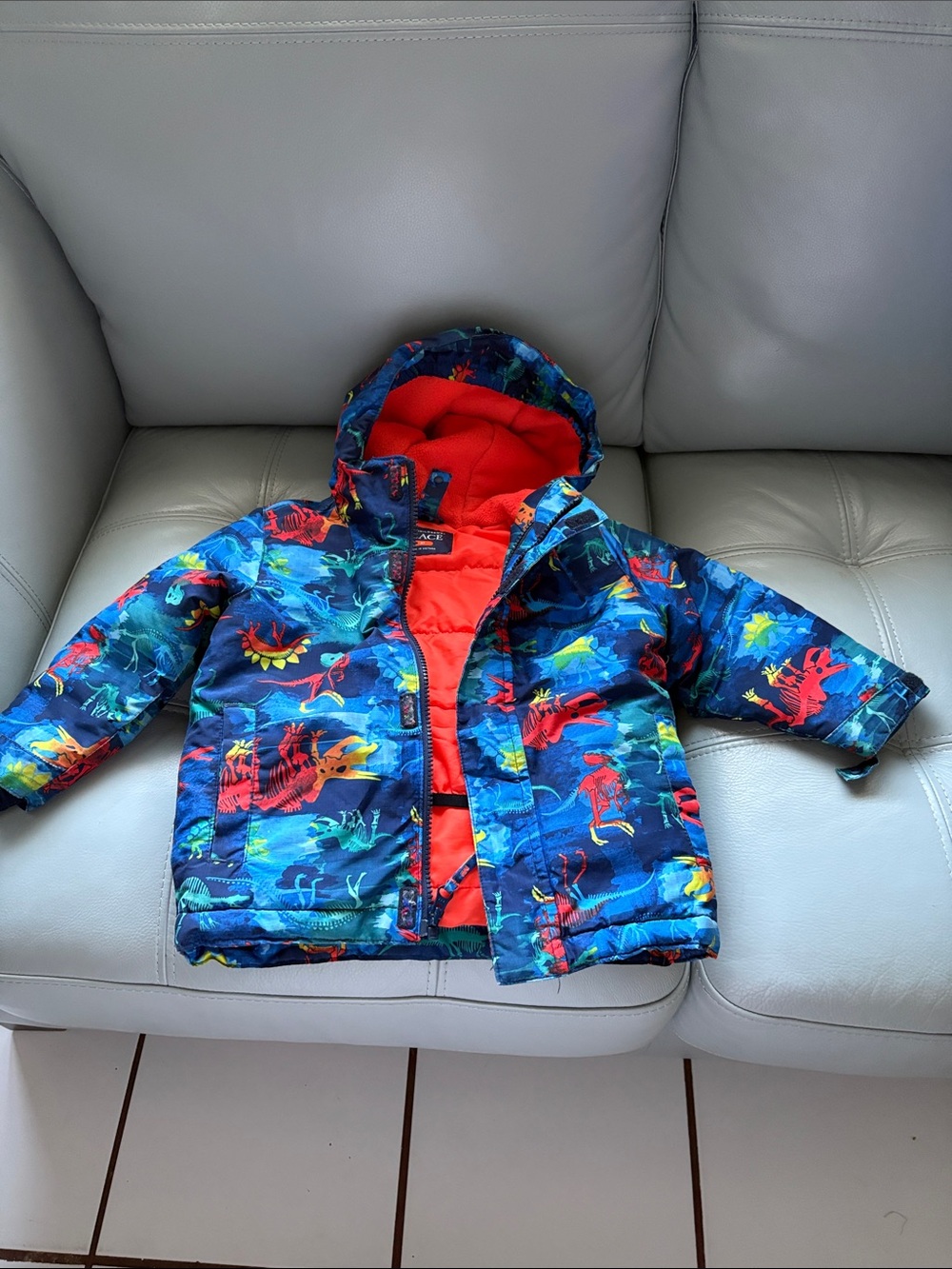Kids Dinosaur Hooded Jacket